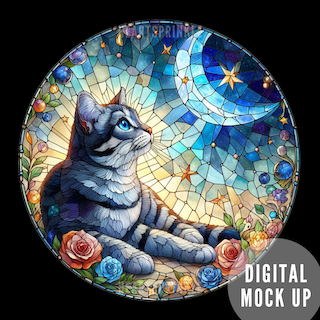 Cat Night Sky