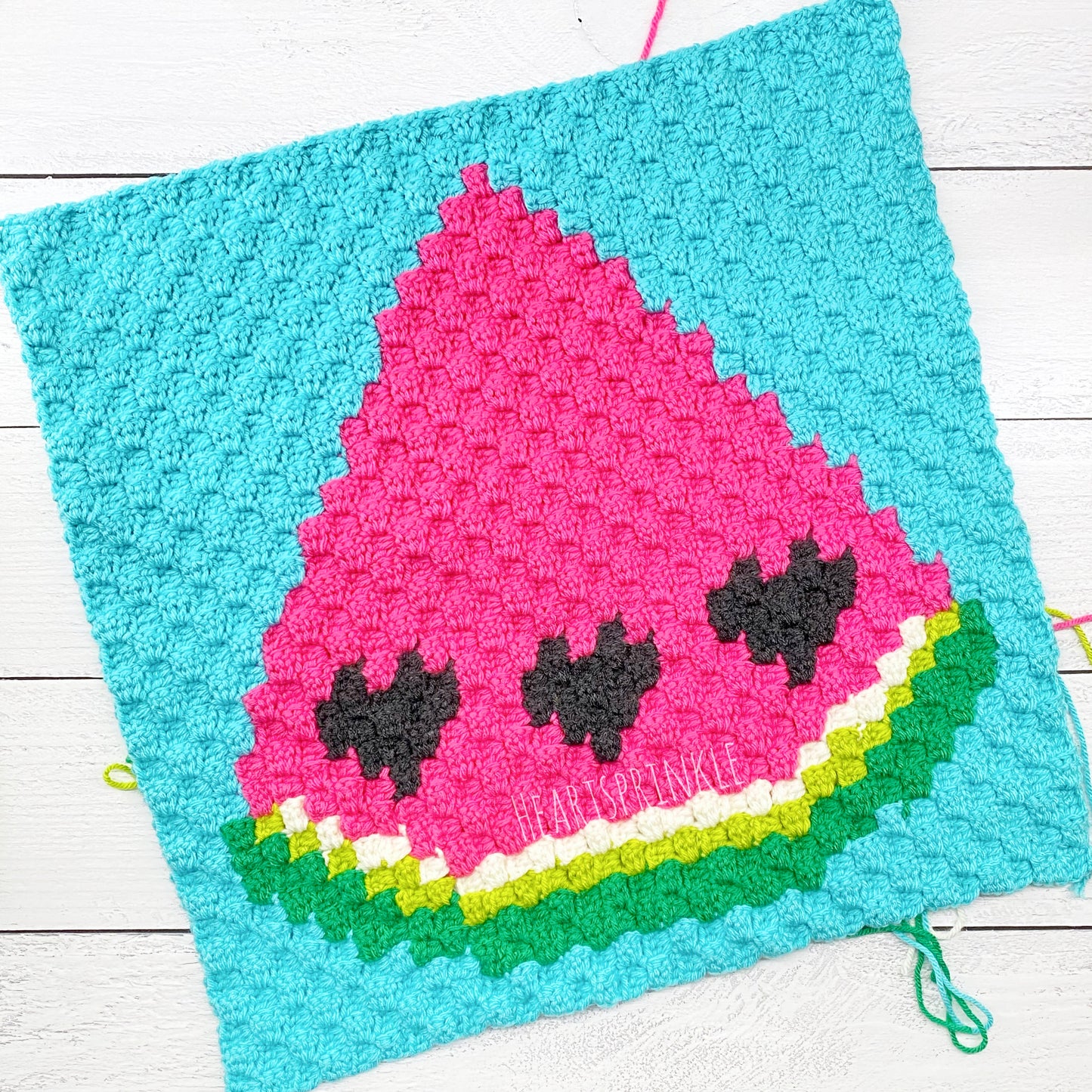 Summer Beach Bum C2C SET PATTERN
